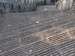 -求水山公园