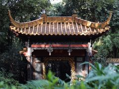 -广州兰圃