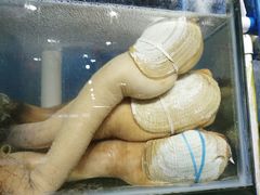 -蚝专家(北滘店)