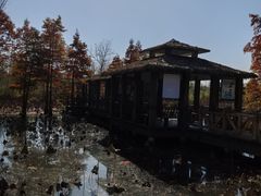 -溱湖国家湿地公园