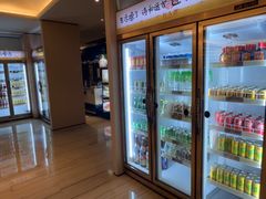 -珠海棕泉酒店(拱北口岸高铁站店)