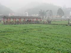 -红山村