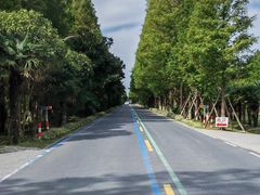 -黄海国家森林公园