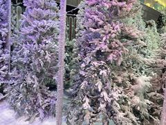 -世界之窗阿尔卑斯冰雪世界