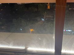 -同庆楼(金宝汇店)