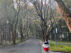 -东湖落雁景区