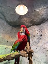 -Zoolung Zoolung动物主题公园(海信广场店)