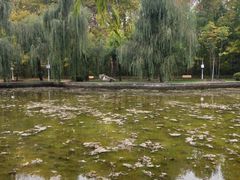 -黑龙江省森林植物园
