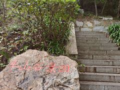 -北极阁公园