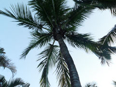 SAM_5884-珠海梦幻水城