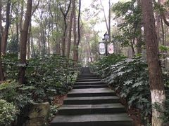 -忠山公园