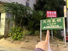 -天荷菜根·闽南素食自助(刺桐北路店)