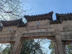 -灵谷景区