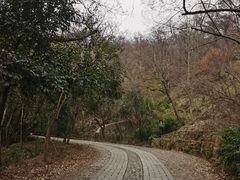 -紫金山山顶公园