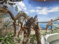 -延庆地质公园博物馆