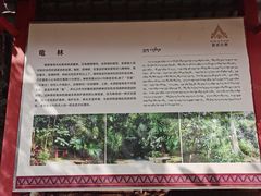 -曼丢傣家古寨