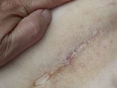 -宠爱国际动物医院· 猫科· 外科·中兽医(长白店)