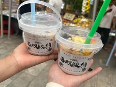-西双版纳傣族园