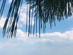 -日照海滨国家森林公园