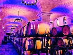 -北京张裕爱斐堡酒庄