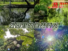 -上海共青森林公园