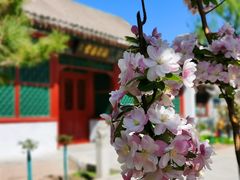 -元大都城垣遗址公园