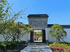 -上海滨江森林公园