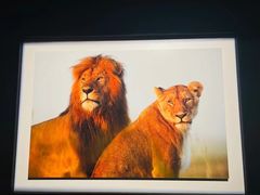 -罗红摄影艺术馆