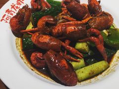 麻辣小龙虾-阿青龙虾(新城店)