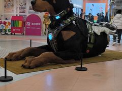 -光启城时尚购物中心