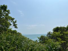 -南丫岛