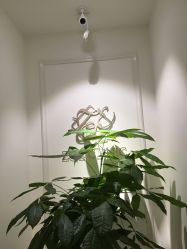 -紫御国际抗衰ZOE ANTI AGING