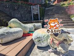 -苍山感通索道