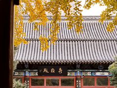 -碑林公园