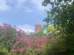 -台山颐和温泉城