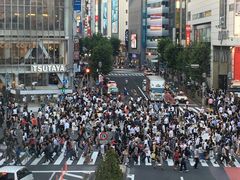 -涩谷全向十字路口