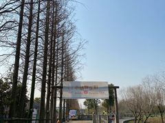 -前小桔亲子创意农场·草莓采摘·露营烧烤