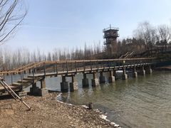 -东郊湿地公园