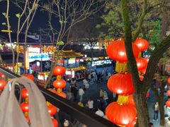 -奇芳阁·百年清真南京菜(夫子庙店)
