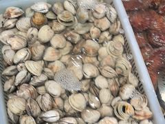 -和源祥·日照菜扛把子(万平口一店)