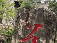 -朴园