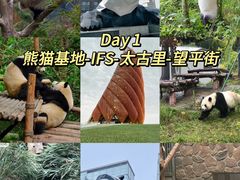 -成都大熊猫繁育研究基地