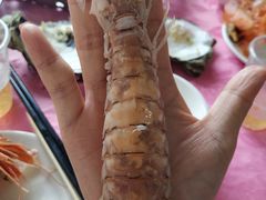 -大湾区中央湿地公园-十九涌