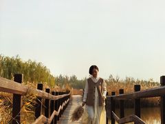 -西青郊野公园