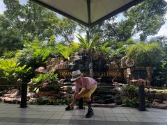 -吉隆坡雀鸟公园