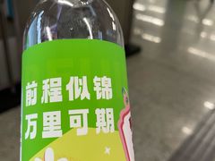 -宋家庄(地铁站)