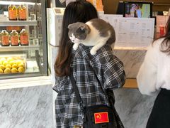 -奈雪的茶(漫广场店)