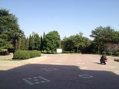 iphone_upload_pic-咸阳湖景区-古渡公园