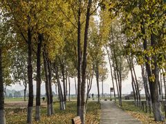 -汉长安城未央宫国家考古遗址公园