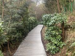 -上海佘山国家森林公园西佘山园